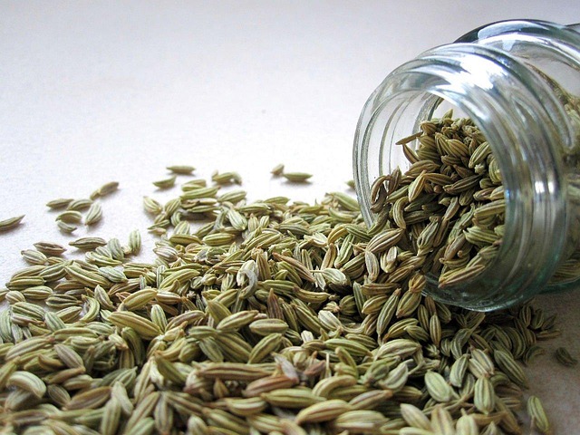 The benefits of fennel