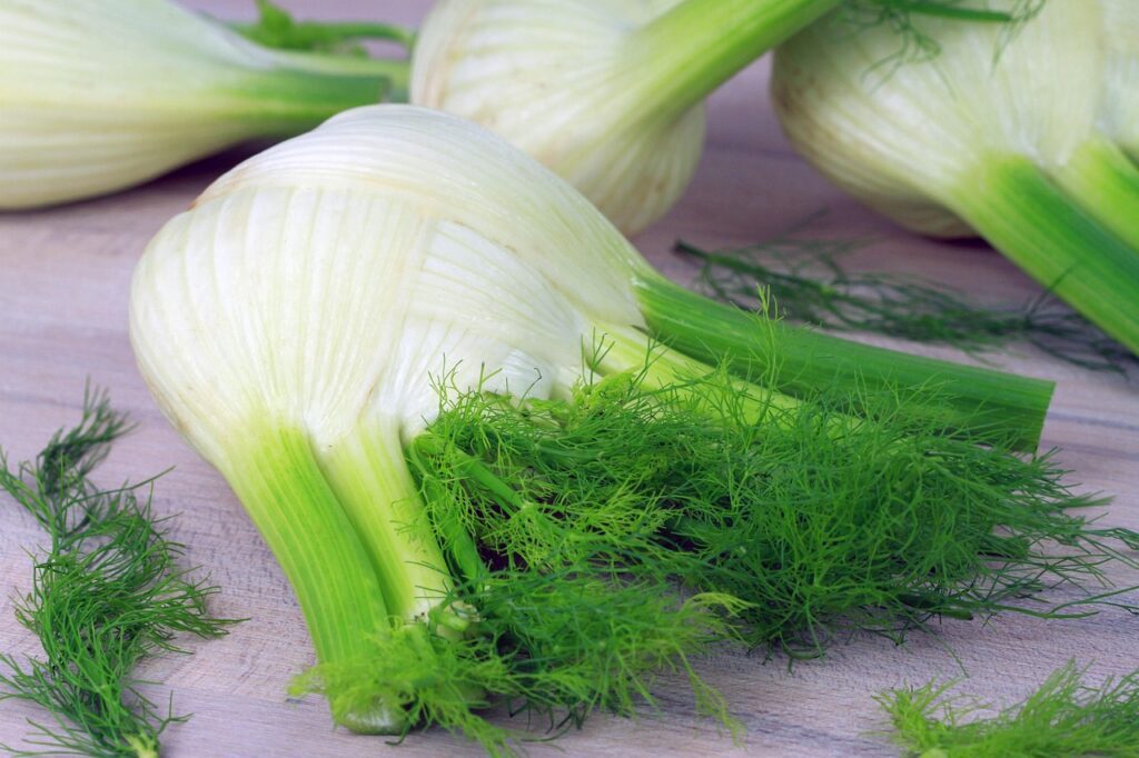 Fennel benefits